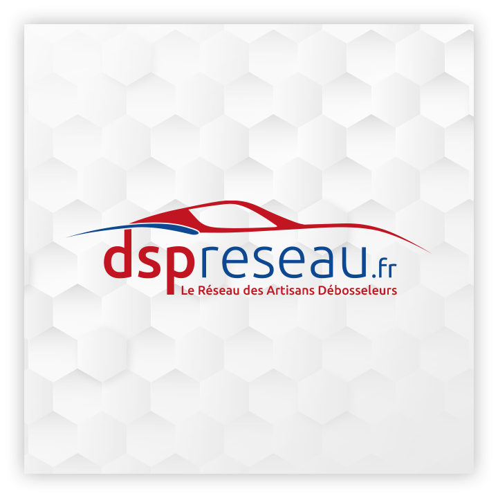 Membre du réseau DSP Réseau